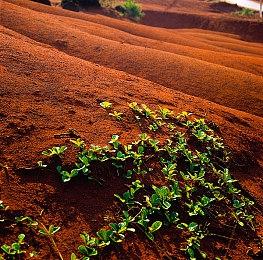 魂式ARPG《钢之崛起》神秘女主角介绍：机器人舞者